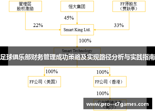 足球俱乐部财务管理成功策略及实现路径分析与实践指南