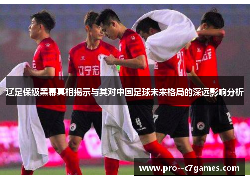 辽足保级黑幕真相揭示与其对中国足球未来格局的深远影响分析 辽足保级黑幕真相揭示与其对中国足球未来格局的深远影响分析